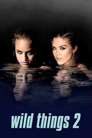 Wild Things 2