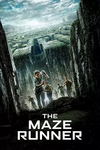 The Maze Runner